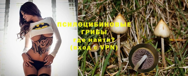 крисы Аркадак