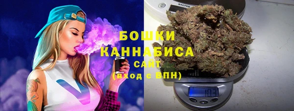 крисы Аркадак