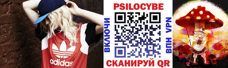 Галлюциногенные грибы Psilocybe  Полярные Зори 